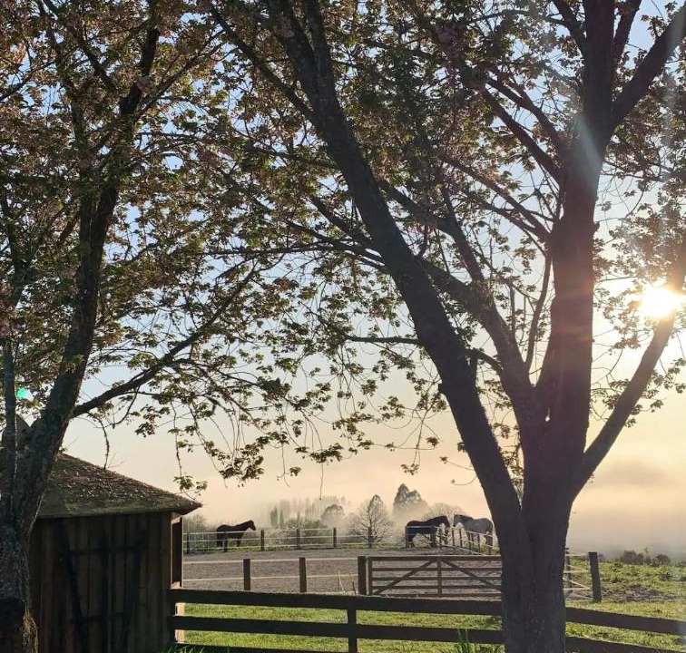 Photo of Others in Rotorua District