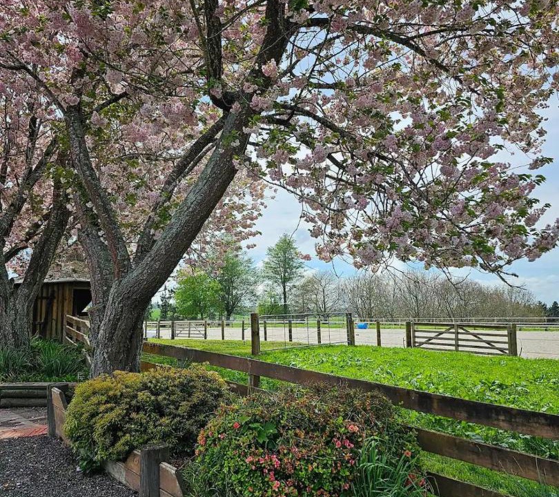 Photo of Others in Rotorua District