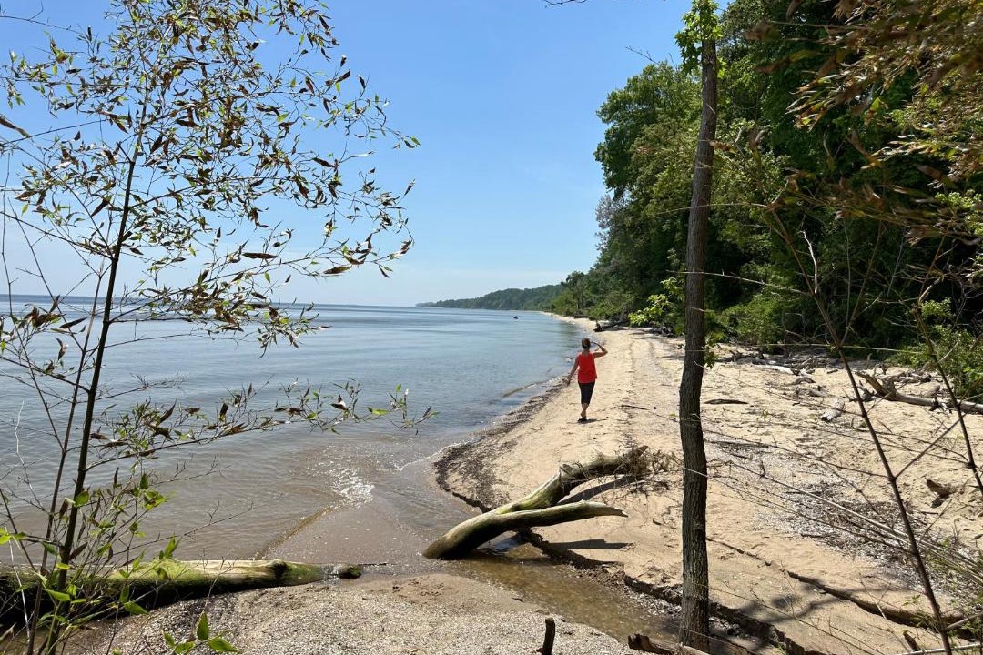 Photo of Others in Port Republic