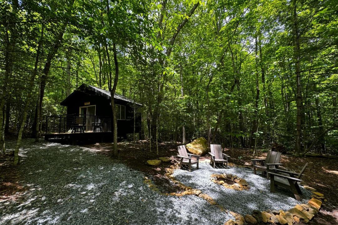 Photo of Others in Balsam Grove