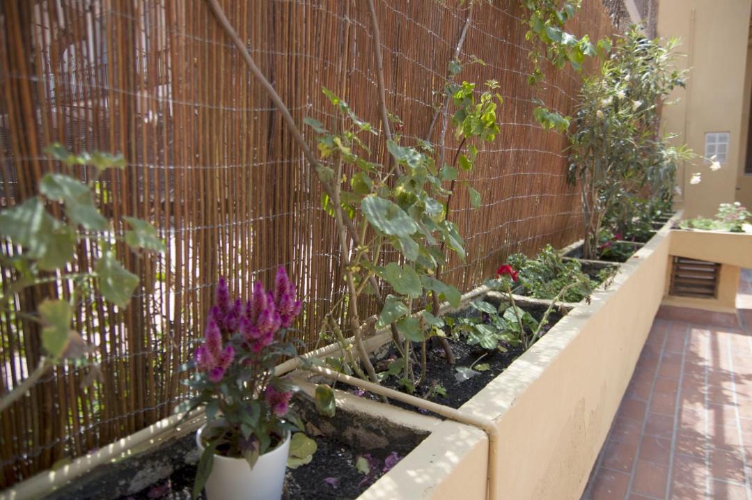 Photo of Patio Balcony in El Raval