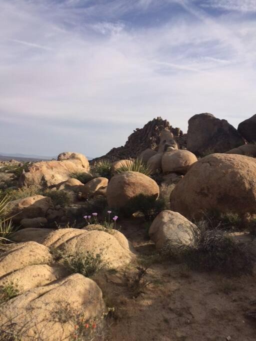 Photo of Others in Monument Manor