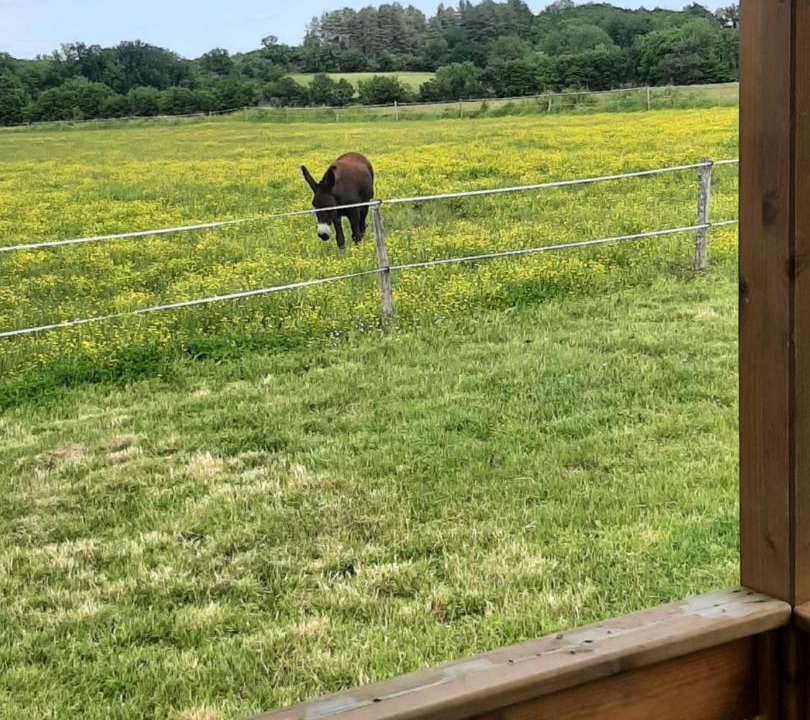 Photo of Others in Saint-Hilaire-en-Lignieres