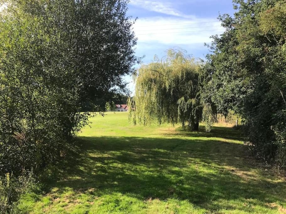 Photo of Others in Ramsden Heath