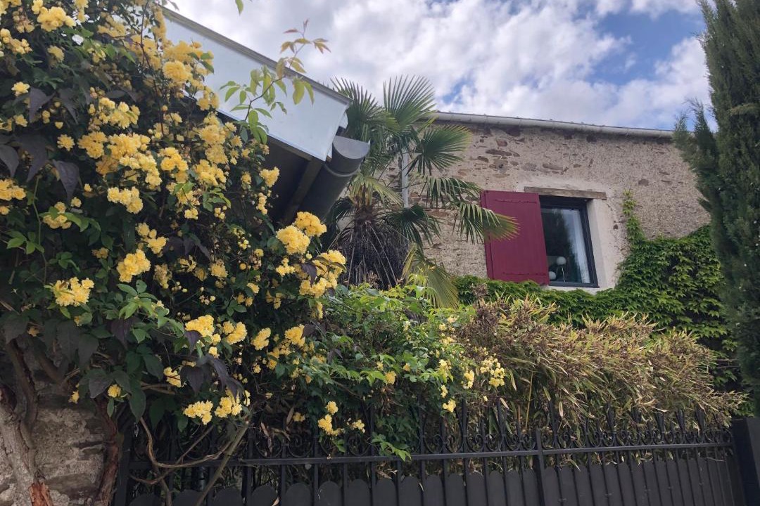 Photo of Others in Saint-Sebastien-sur-Loire