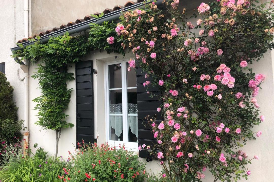 Photo of Others in Saint-Sebastien-sur-Loire