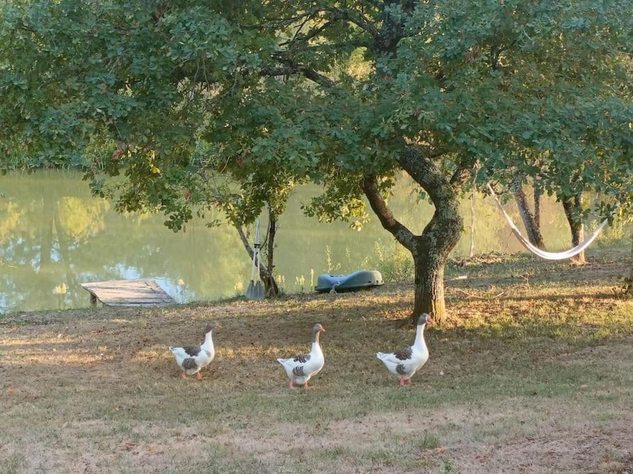 Photo of Others in Castelnau-d'Auzan