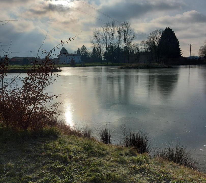 Photo of Others in Chaneins