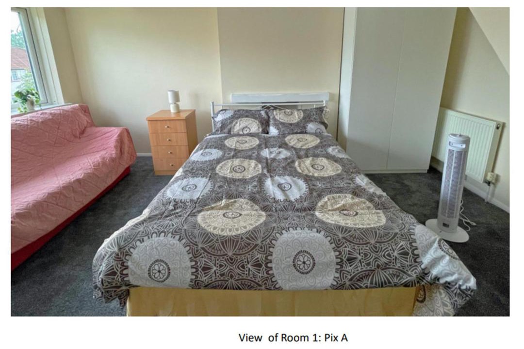 Photo of Others in Hale