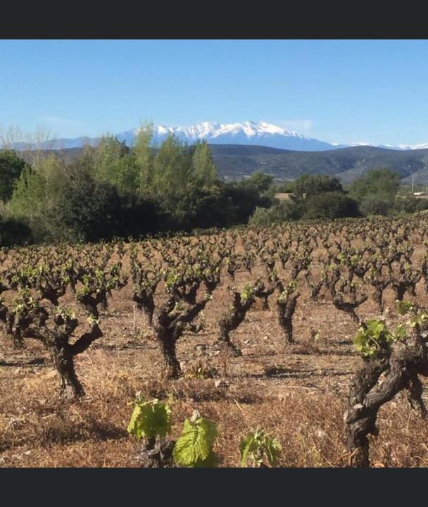 Photo of Others in Villeneuve-les-Corbieres