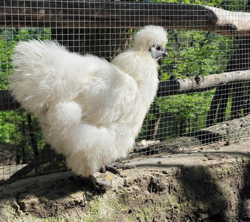 Photo of Others in Valgorge