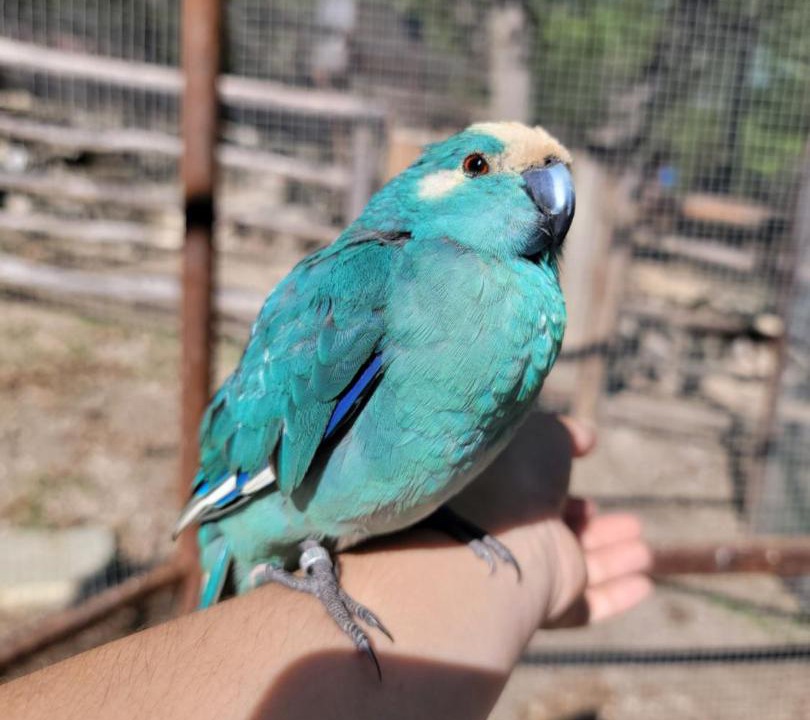 Photo of Others in Valgorge