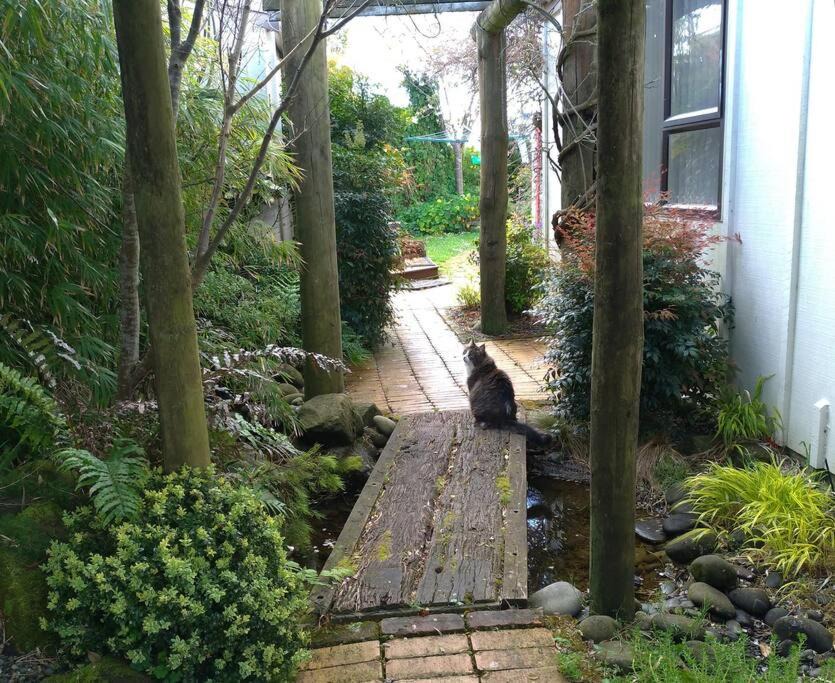 Photo of Others in Waitara