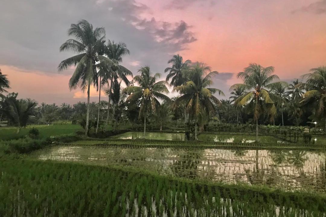 Photo of Outdoor in Kotaraja