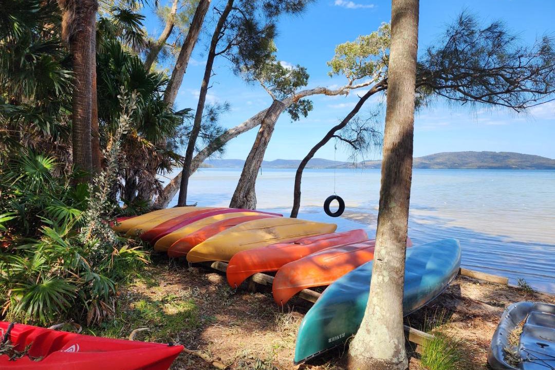 Photo of Others in Forster