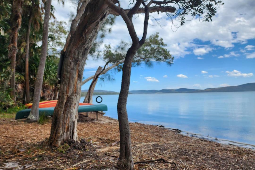 Photo of Others in Forster