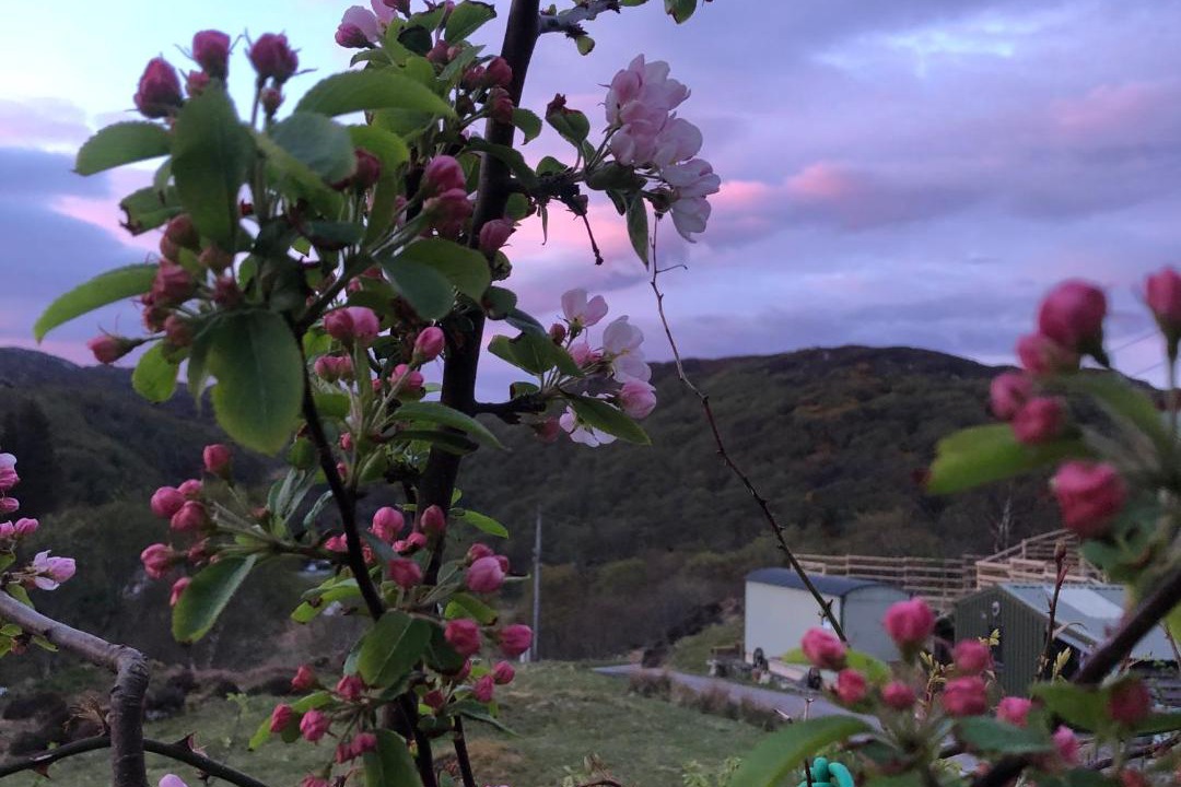 Photo of Others in Inverkirkaig