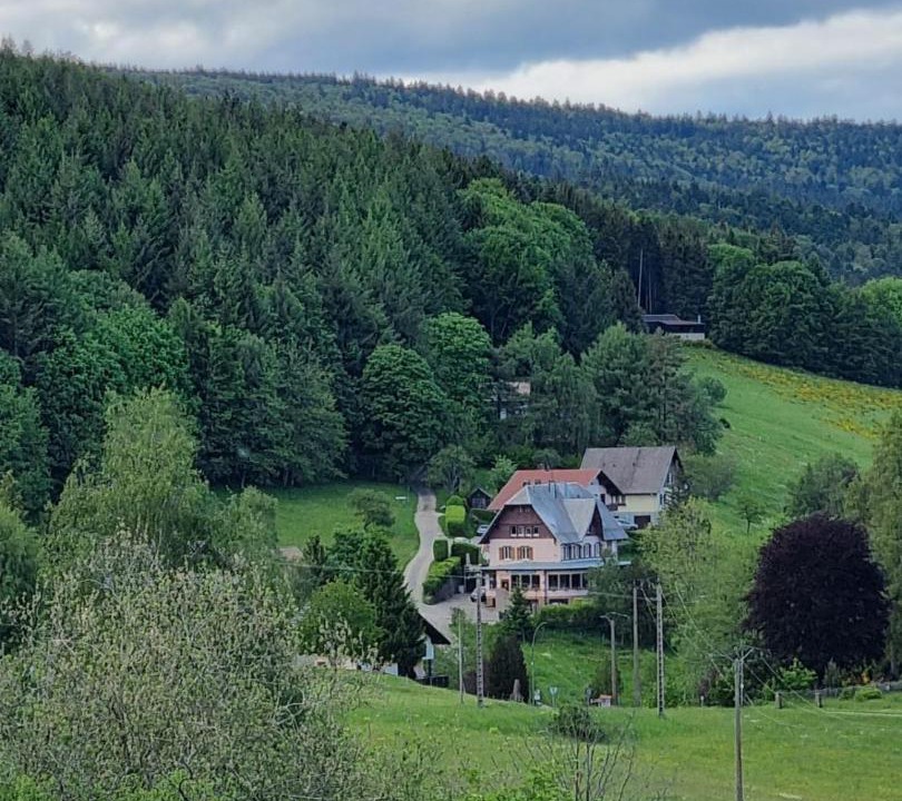 Photo of Others in Le Hohwald