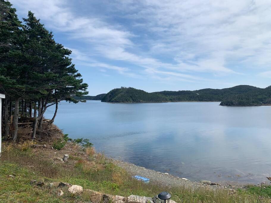 Photo of Others in Fogo