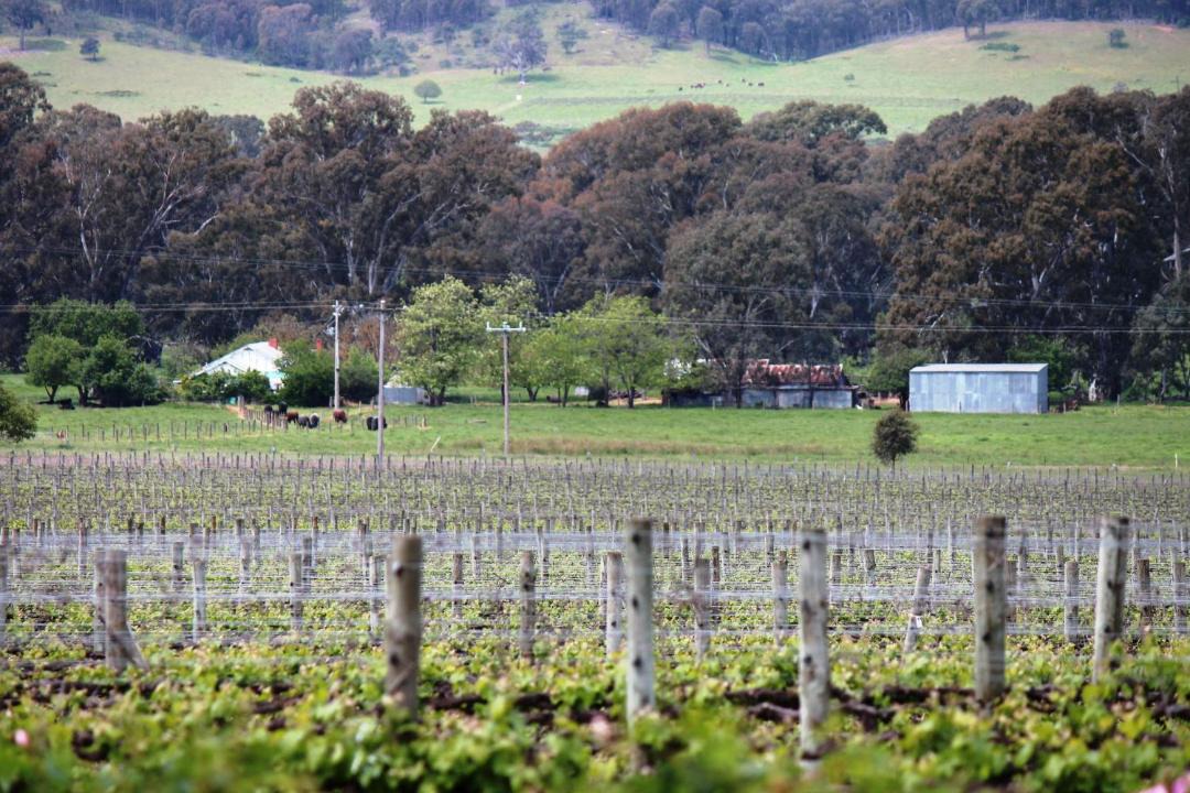 Photo of Others in Whitfield