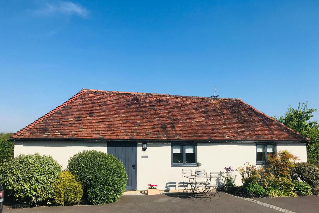 Photo of Others in Mayfield