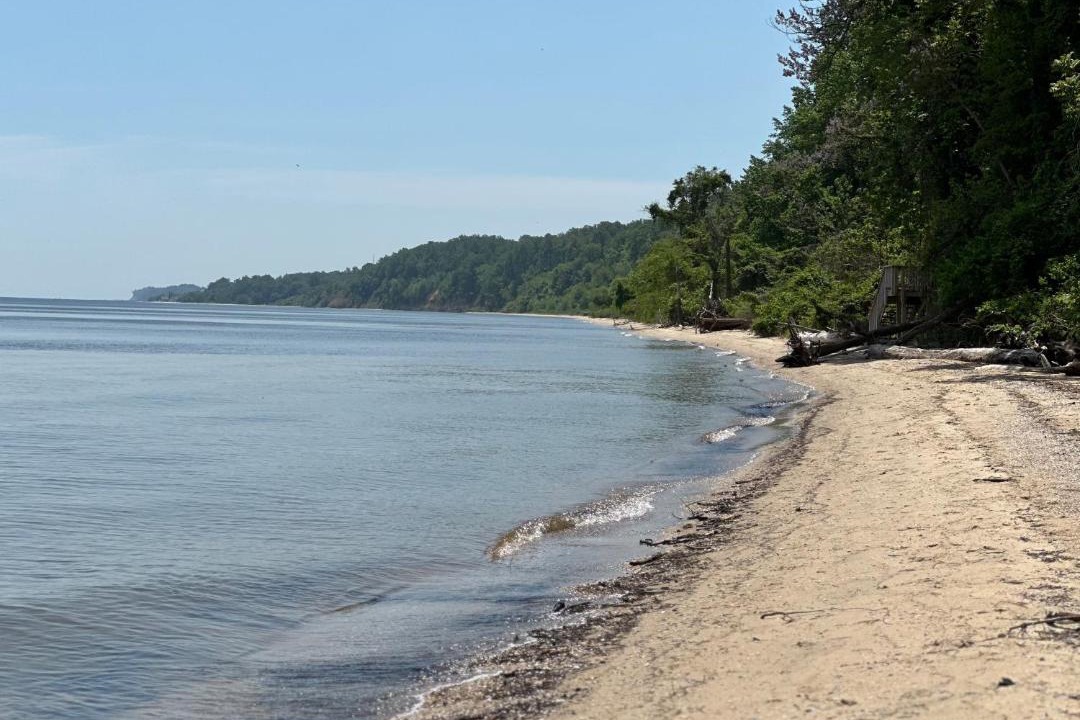 Photo of Others in Port Republic