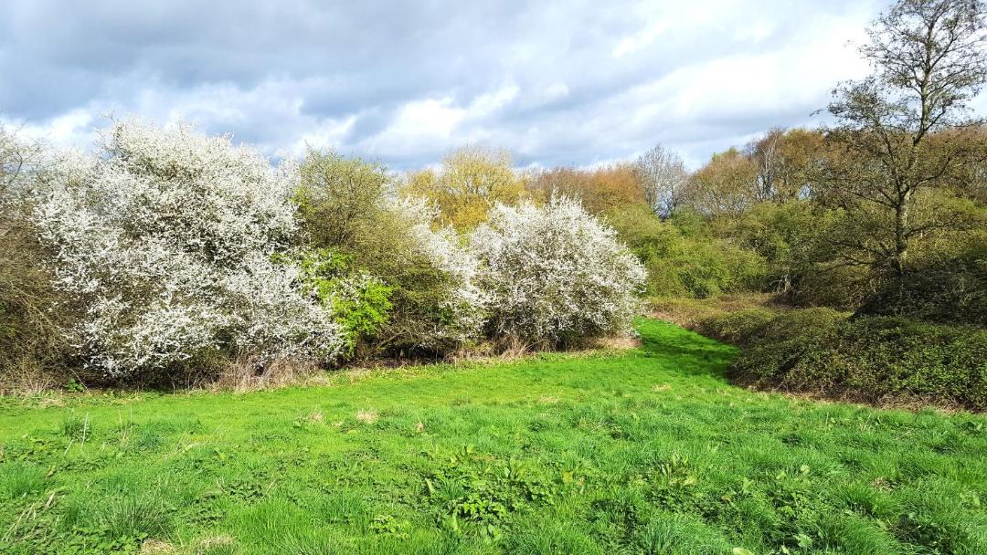 Photo of Others in Leadenham