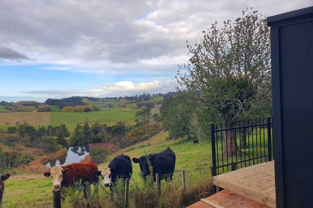 Photo of Others in Waitoki