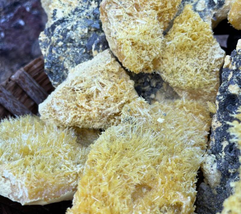 Photo of Others in Banyuwangi