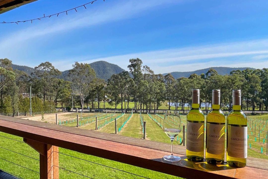 Photo of Others in Broke