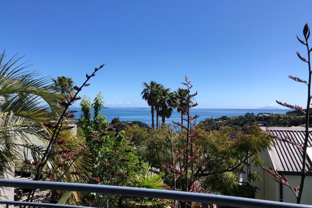 Photo of Others in Palm Beach