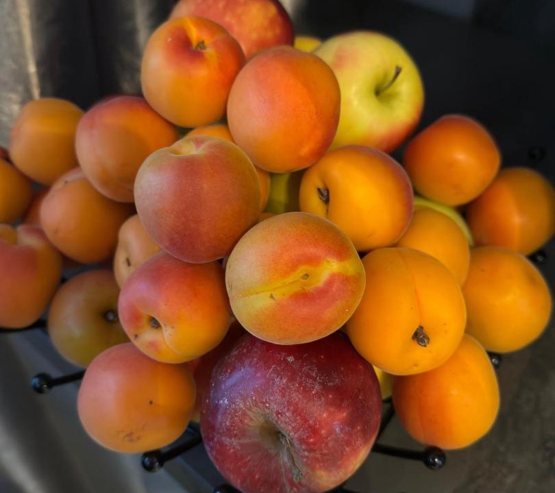 Photo of Others in Ales