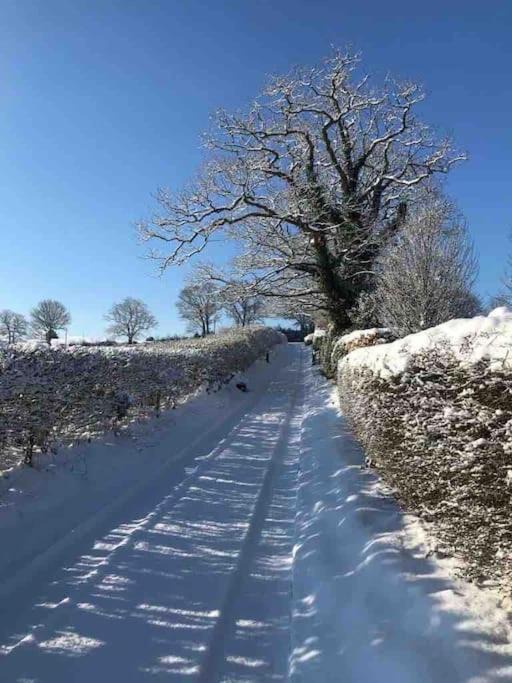 Photo of Others in Mayfield