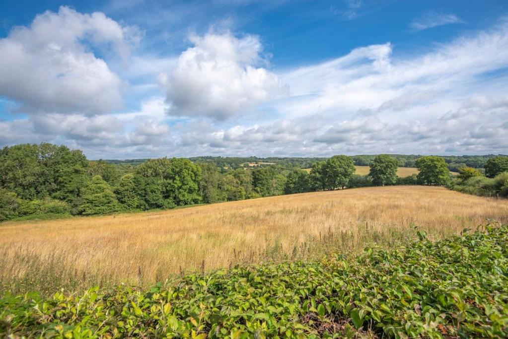 Photo of Others in Mayfield