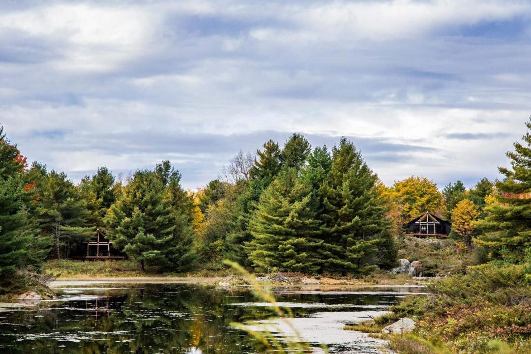 Photo of Others in Tay Valley