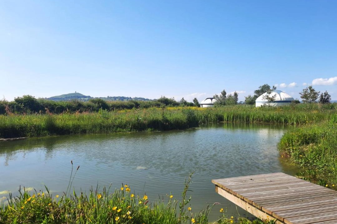 Photo of Others in Glastonbury