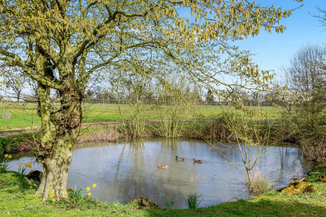 Photo of Others in East Dereham