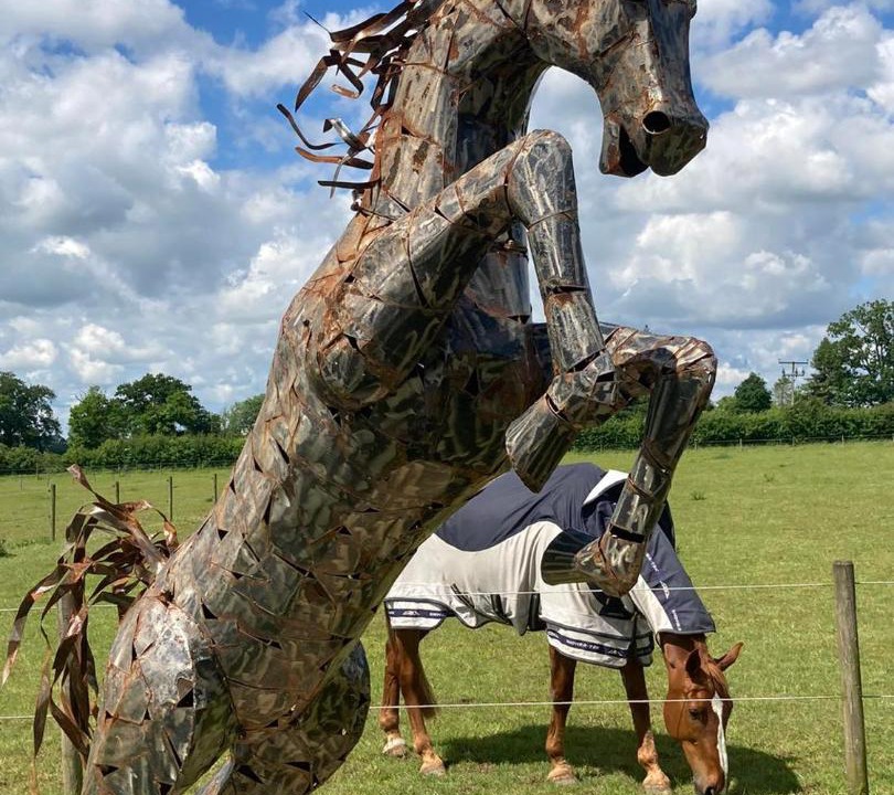 Photo of Others in East Dereham