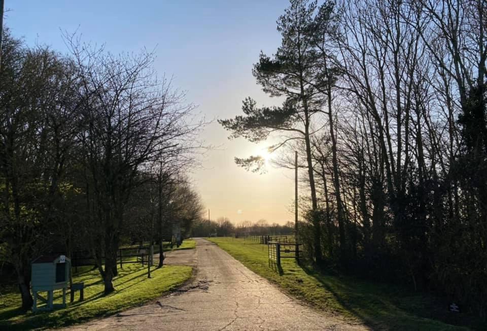 Photo of Others in East Dereham