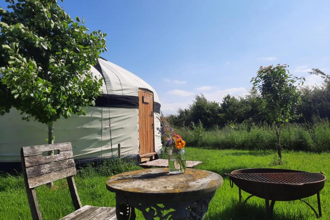 Photo of Others in Glastonbury