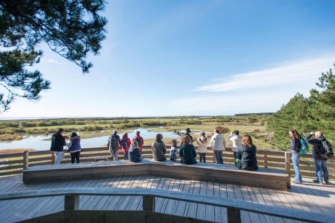 Photo of Others in Belle Dune