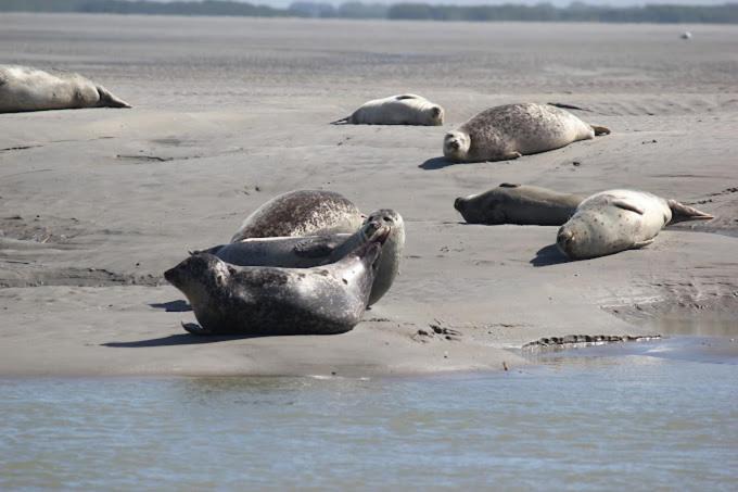 Photo of Others in Belle Dune