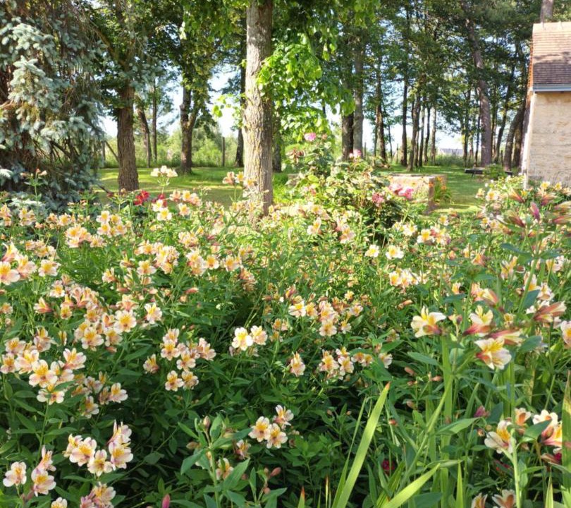 Photo of Others in Bazouges-sur-le-Loir