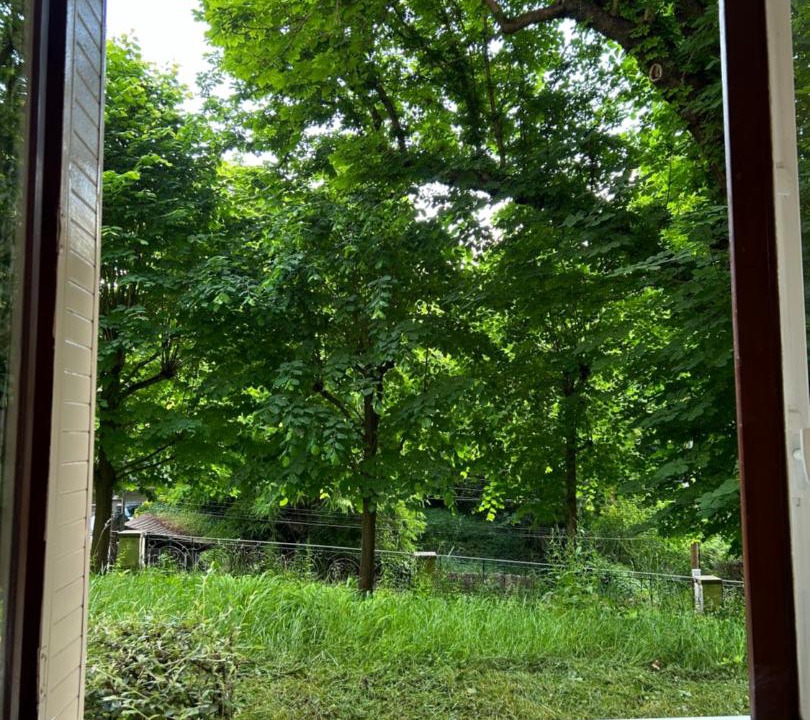 Photo of Others in Bougival