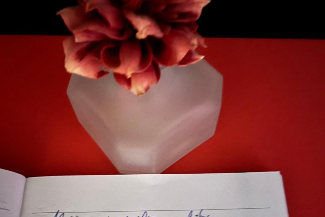 Photo of Others in Villette-dʼAnthon