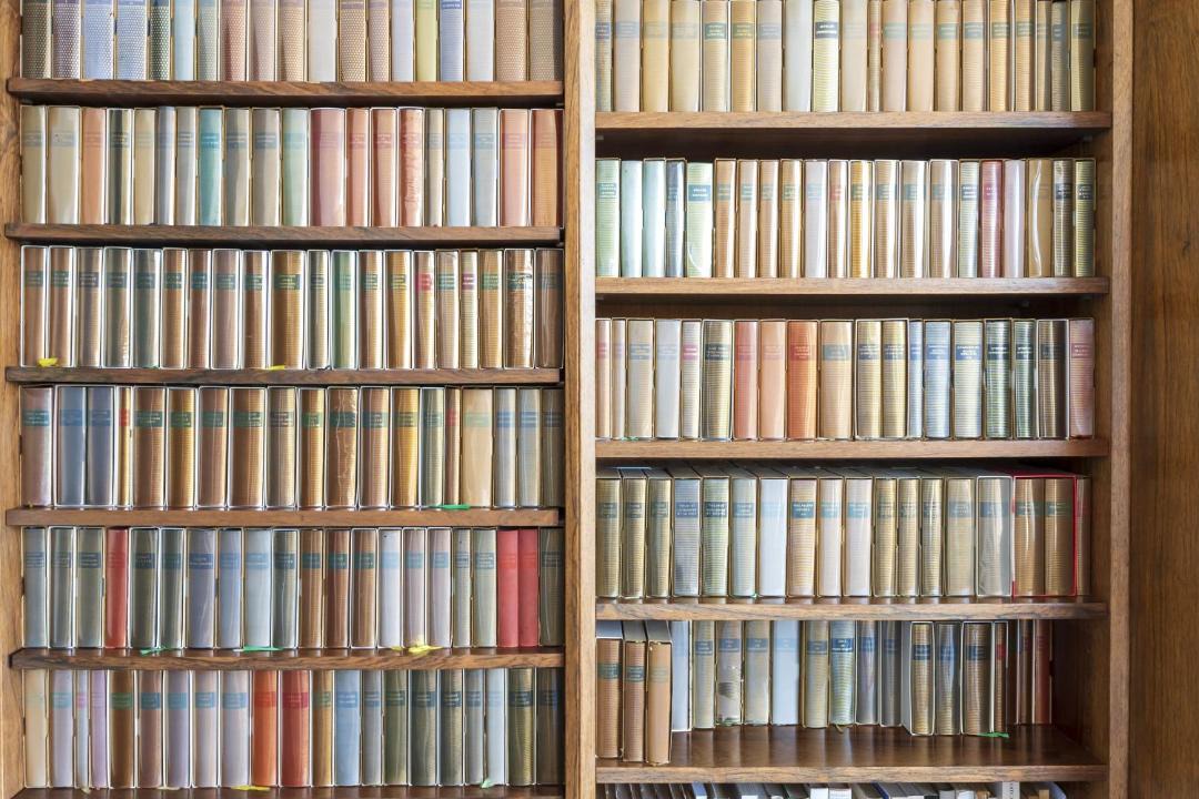 Photo of Others in Saint-Martin-de-Seignanx