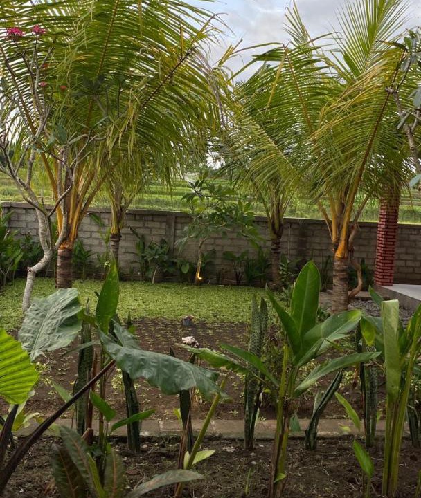 Photo of Others in Mendoyo