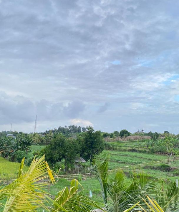 Photo of Others in Mendoyo