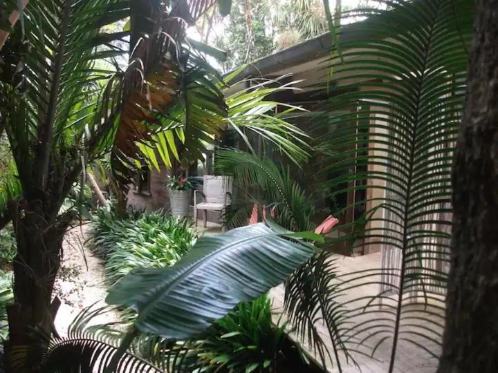 Photo of Others in Kingsland