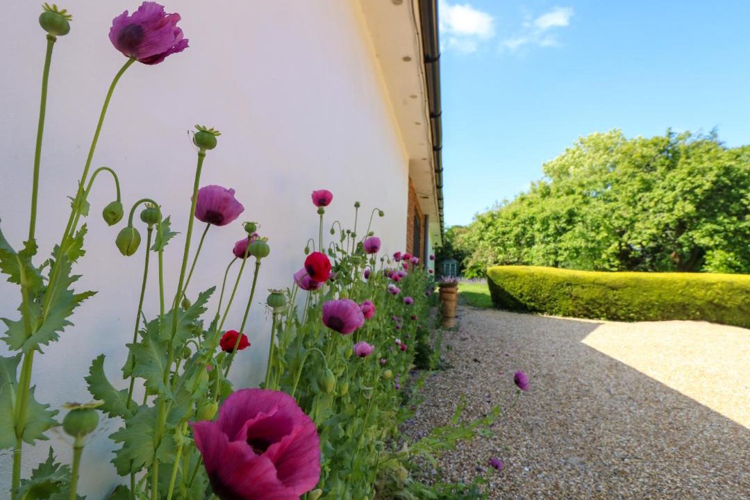 Photo of Others in Ryde